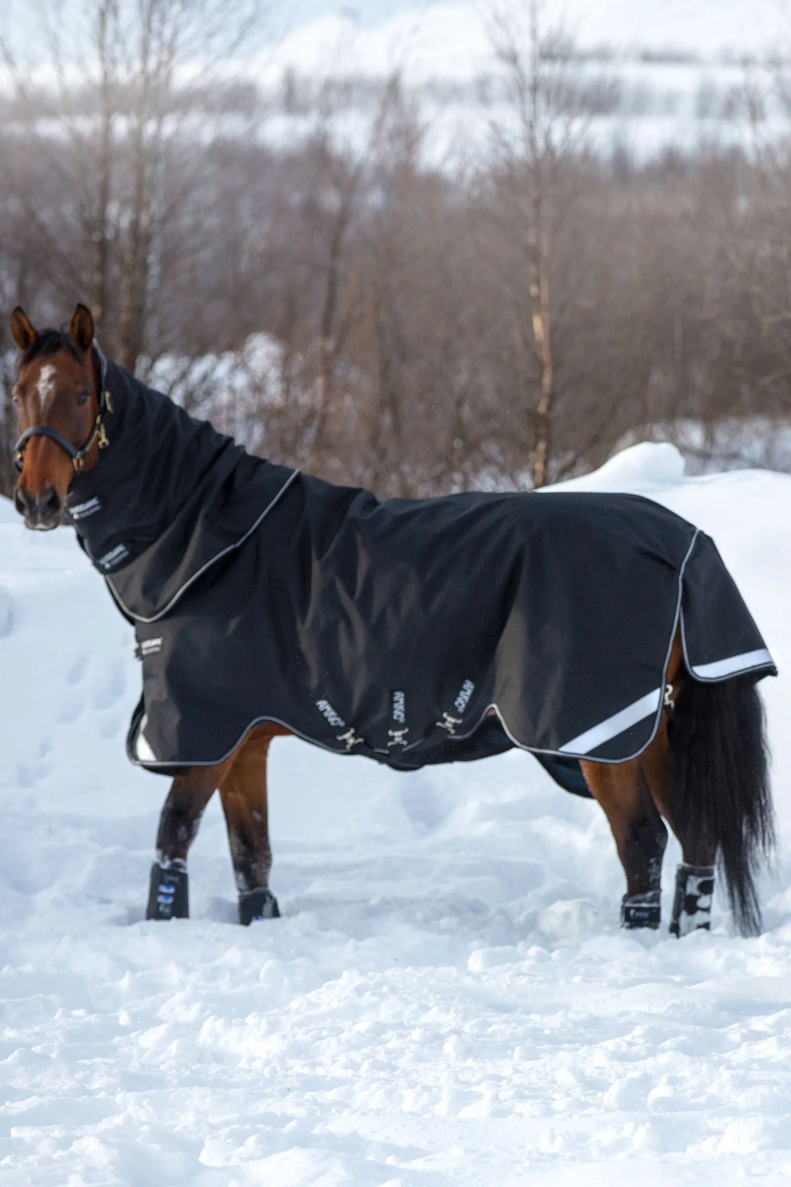 Horseware Amigo Super Bravo Plus Turnout Blanket with Detachable Hood, 250 g